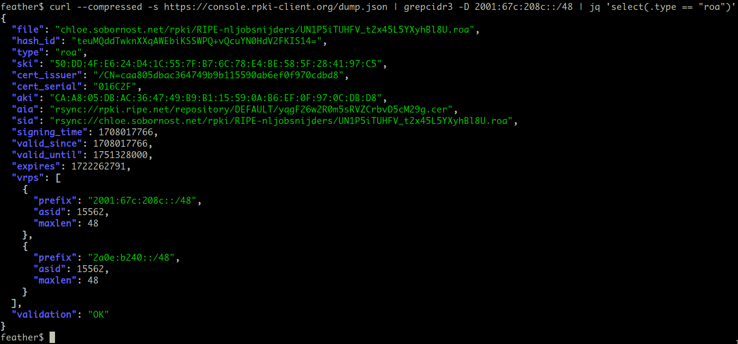 Output of the JSON dump from the RPKI Client Console on OpenBSD